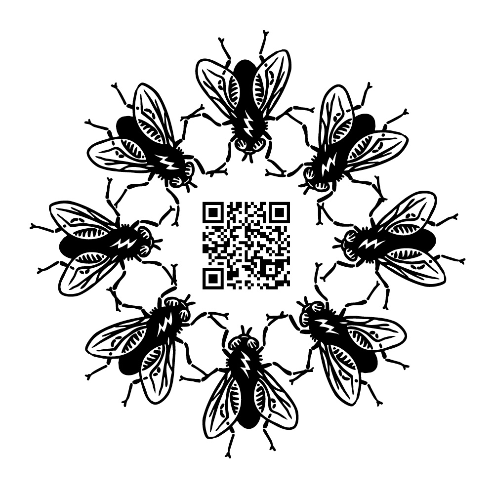 Flies code