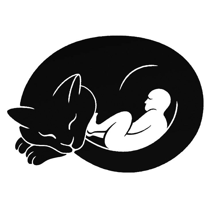 Sleeping cat