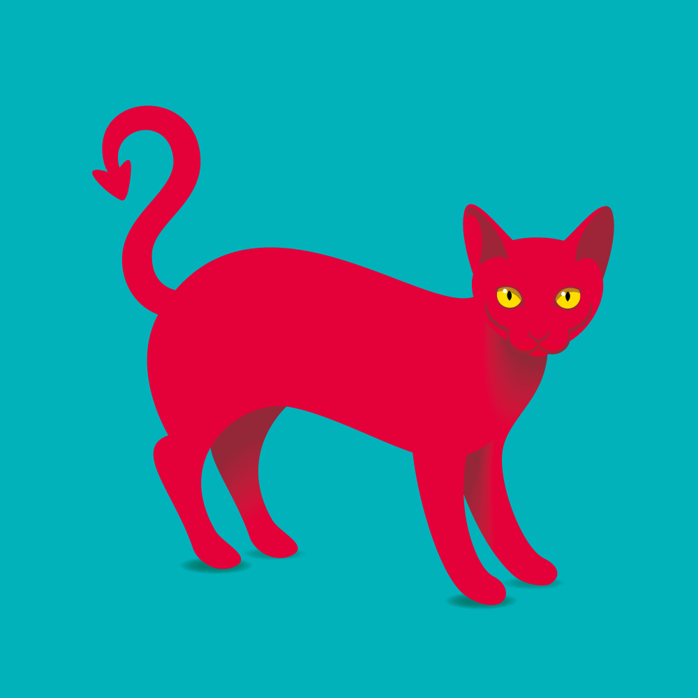 Red cat