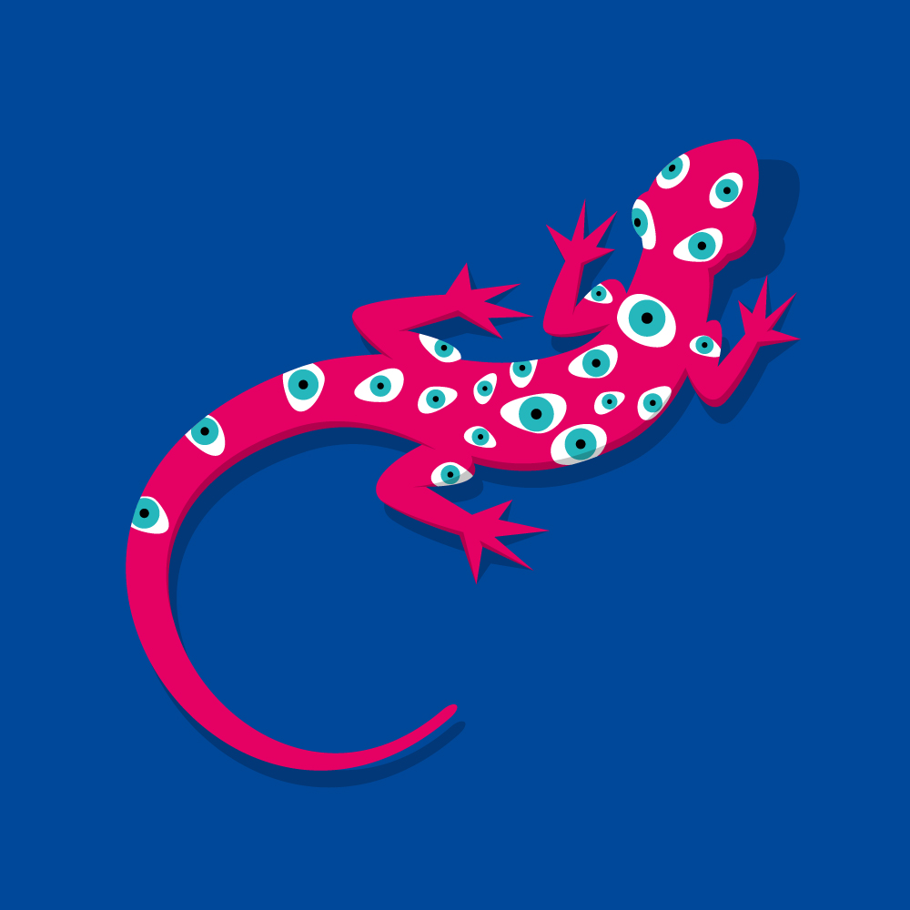 Salamander